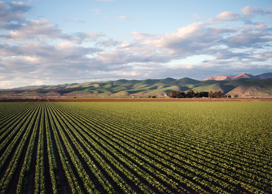 Agricultural field and equipment
